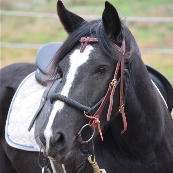 Meet your Posher, Megan - Picture 1 of 1